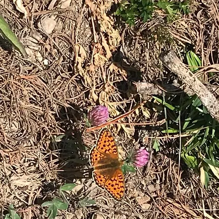 Super Studio A アパート *