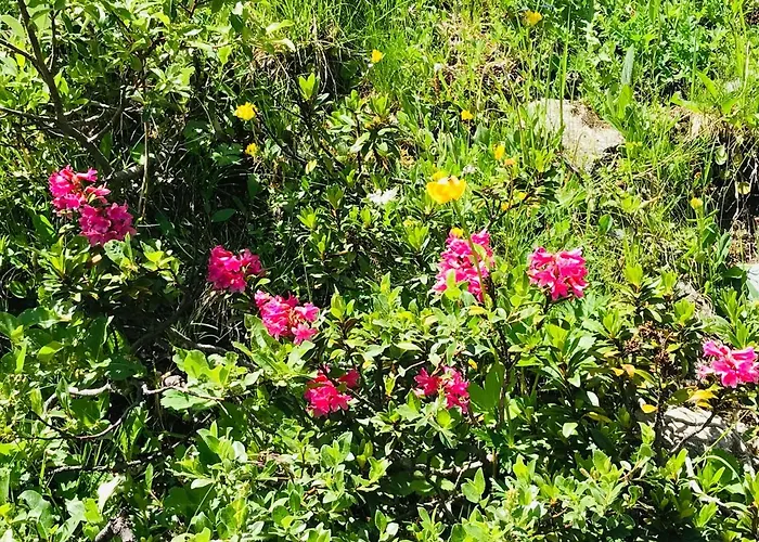 Daire Super Studio A Grimentz